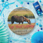 野生の馬が原っぱで紙皿を食べている ペーパープレート (パーティー)