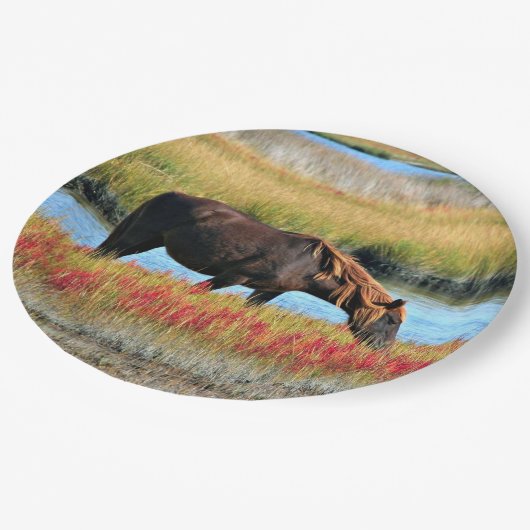 野生の馬が原っぱで紙皿を食べている ペーパープレート (アングル)