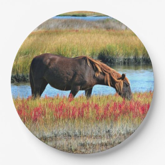 野生の馬が原っぱで紙皿を食べている ペーパープレート (正面)
