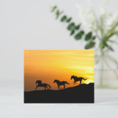 野生の馬が夕陽に駆ける - 馬好きのためのデザイン ポストカード (スタンド正面)