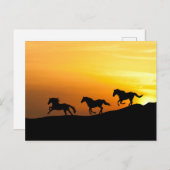 野生の馬が夕陽に駆ける - 馬好きのためのデザイン ポストカード (正面/裏面)