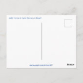 野生の馬が草原の丘陵で夕焼けの誕生日を迎える ポストカード (裏面)