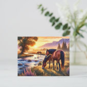 野生の馬たちと夕焼け ポストカード (スタンド正面)