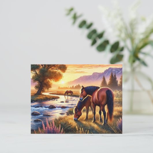 野生の馬たちと夕焼け ポストカード (スタンド正面)