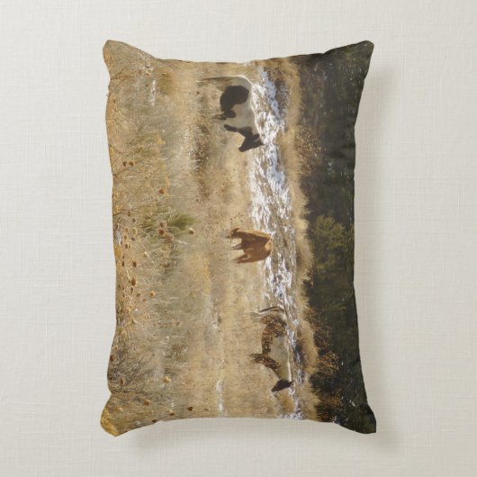 野生の馬のアクセント枕 アクセントクッション (正面(垂直))