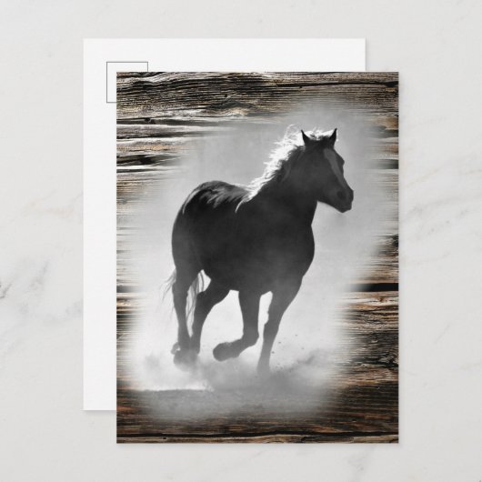 野生の馬のギャロッピング 案内ポストカード (正面/裏面)