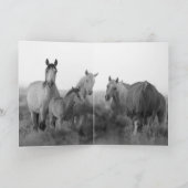 野生の馬のグリーティングカード-夜明け前の野生の家族 カード (内部)