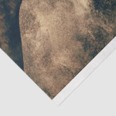 野生の馬のデカップアート 薄葉紙 (詳細)