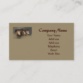 野生の馬のトリオの名刺 名刺 (裏面)