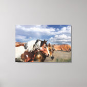 野生の馬のマスタリオンと彼の馬。 キャンバスプリント (正面)