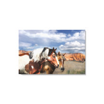 野生の馬のマスタリオンと彼の馬。