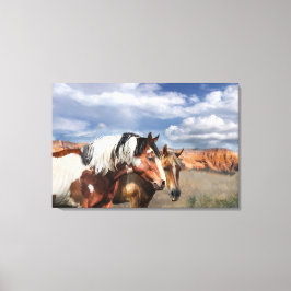 野生の馬のマスタリオンと彼の馬。 キャンバスプリント