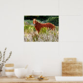 野生の馬の停止 ポスター (キッチン)