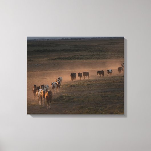 野生の馬の歩くを砂漠に キャンバスプリント (正面)