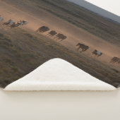 野生の馬の歩くを砂漠に シェルパブランケット (3/4)