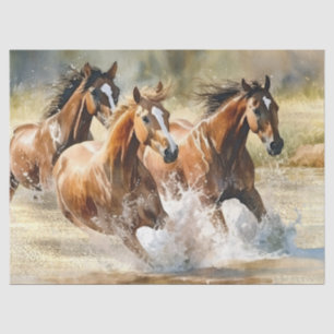 野生の馬の水色 薄葉紙