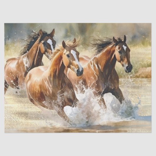 野生の馬の水色 薄葉紙 (正面)