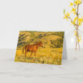 野生の馬の聖域。 カード (黄色い花)