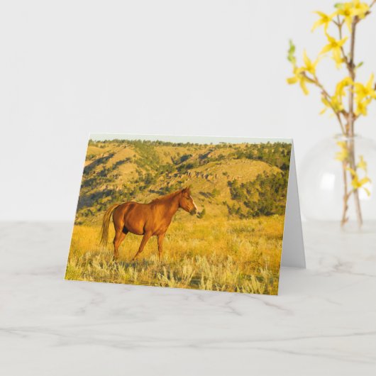 野生の馬の聖域。 カード (黄色い花)