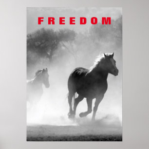 野生の馬の自由やる気を起こさせるのアートワーク ポスター