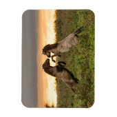 野生の馬の長方形の磁石を突き出す マグネット (縦)