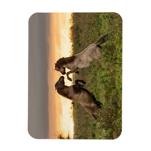 野生の馬の長方形の磁石を突き出す マグネット (縦)