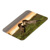 野生の馬の長方形の磁石を突き出す マグネット (左側)