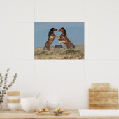 野生の馬の雄ヤギ戦い ポスター (キッチン)