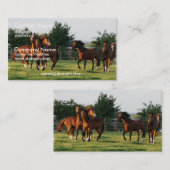 野生の馬は名刺を円形にします 名刺 (正面/裏面)