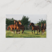 野生の馬は名刺を円形にします 名刺 (裏面)