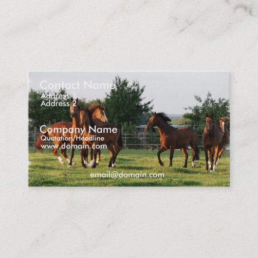 野生の馬は名刺を円形にします 名刺 (正面)