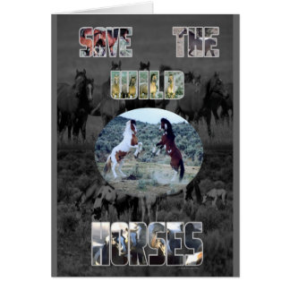 野生の馬を救って下さい