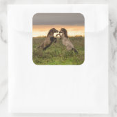 野生の馬を突き進める スクエアシール (バッグ)