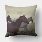 野生の馬 クッション (裏面)