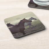 野生の馬 コースター (左側)