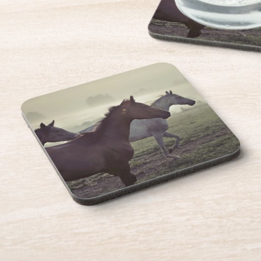 野生の馬 コースター (左側)