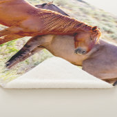 野生の馬 シェルパブランケット (3/4)