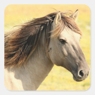 野生の馬 スクエアシール