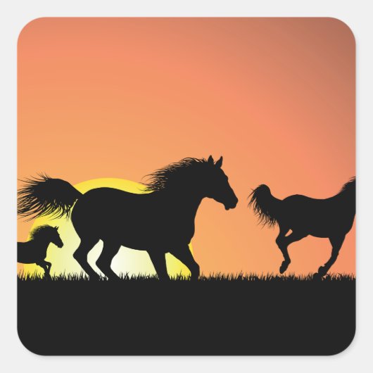 野生の馬 スクエアシール (正面)