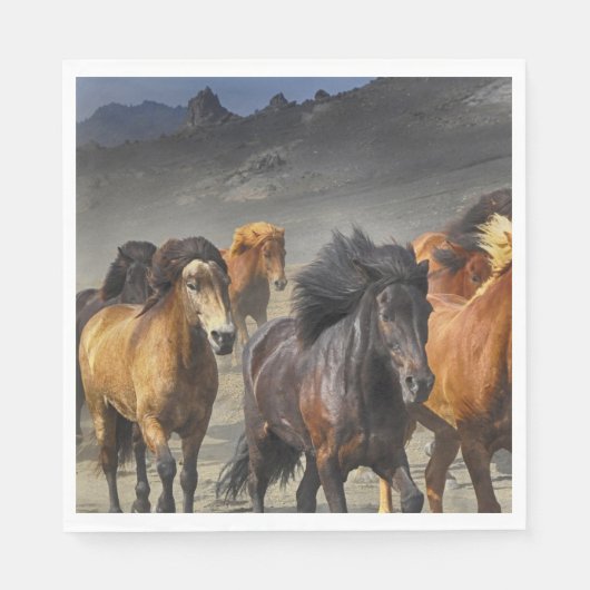 野生の馬 スタンダードランチョンナプキン (正面)