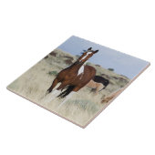 野生の馬、スティーンズマウンテン タイル (側面)