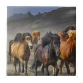 野生の馬 タイル (正面)