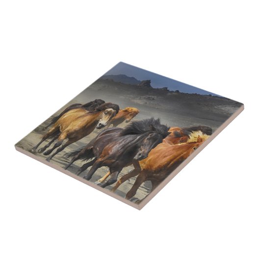 野生の馬 タイル (側面)