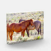 野生の馬 フォトブロック (左)