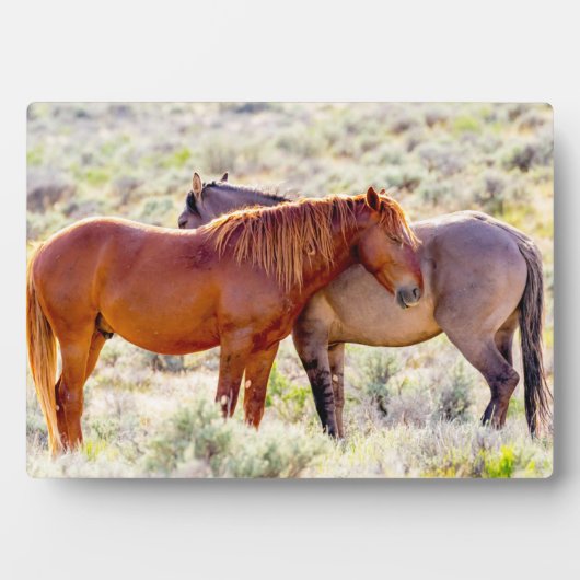 野生の馬 フォトプラーク (正面)