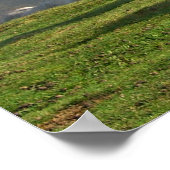 野生の馬 ポスター (角)