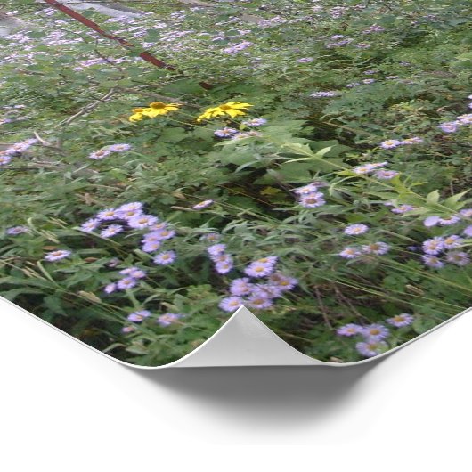 野生の馬 ポスター (角)