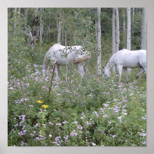 野生の馬 ポスター (正面)