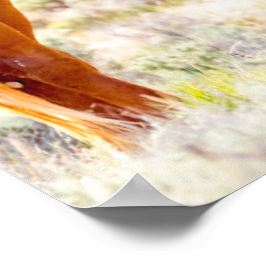 野生の馬 ポスター (角)