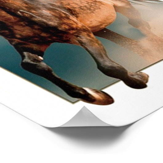 野生の馬 ポスター (角)